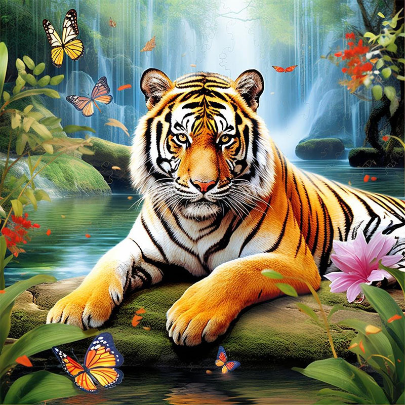 Art Craft Website - 1 ensemble de kits de peinture