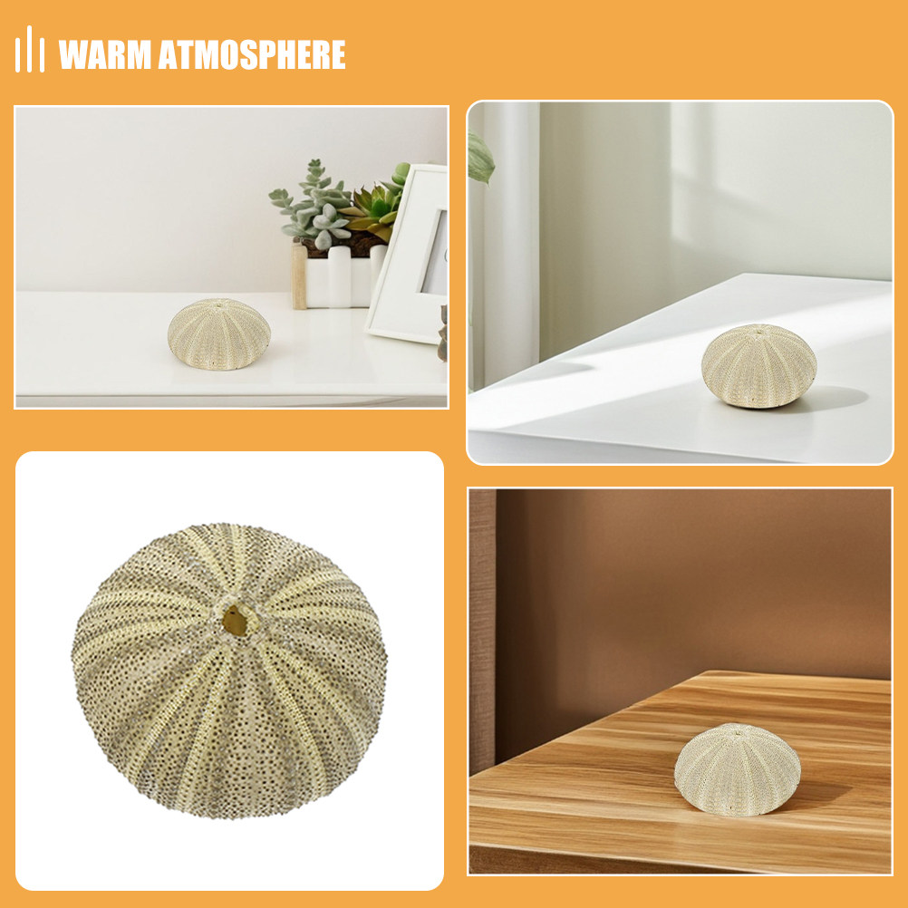 18 coquilles d'ormeaux pour re - Art And Craft Nature avis et prix