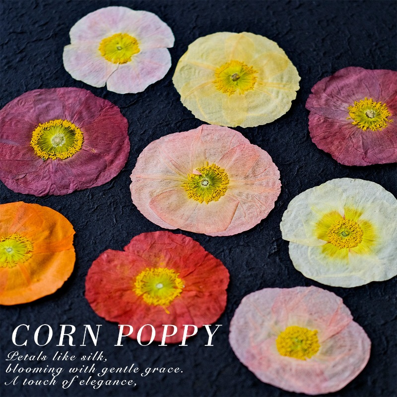 1 pièce, Fleurs de pavot de ca - Art And Craft Nature avis et prix