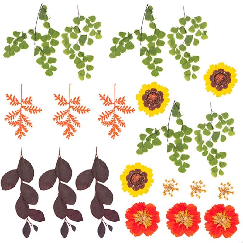 Fleur pressée séchée pour moul - Art And Craft Nature avis et prix