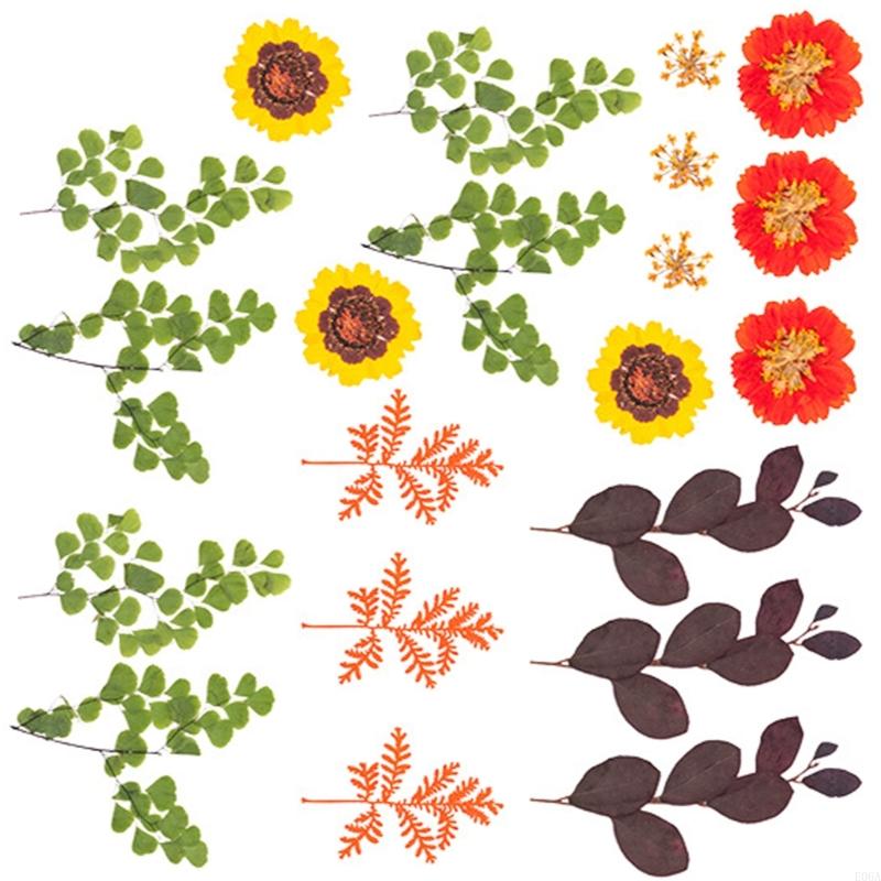 Fleur pressée séchée pour moul - Art And Craft Nature avis et prix