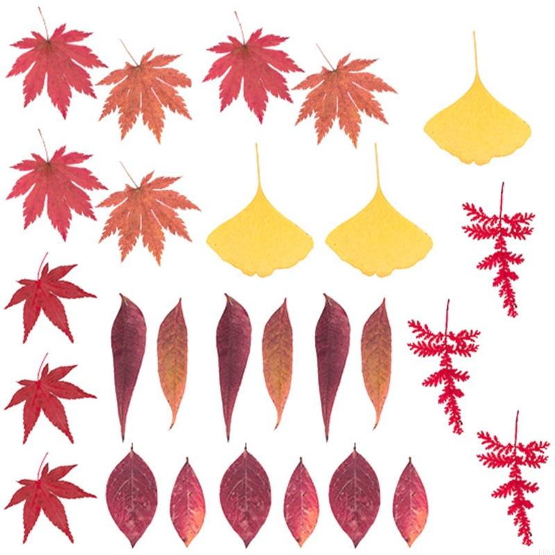 Fleur pressée séchée pour moul - Art And Craft Nature avis et prix