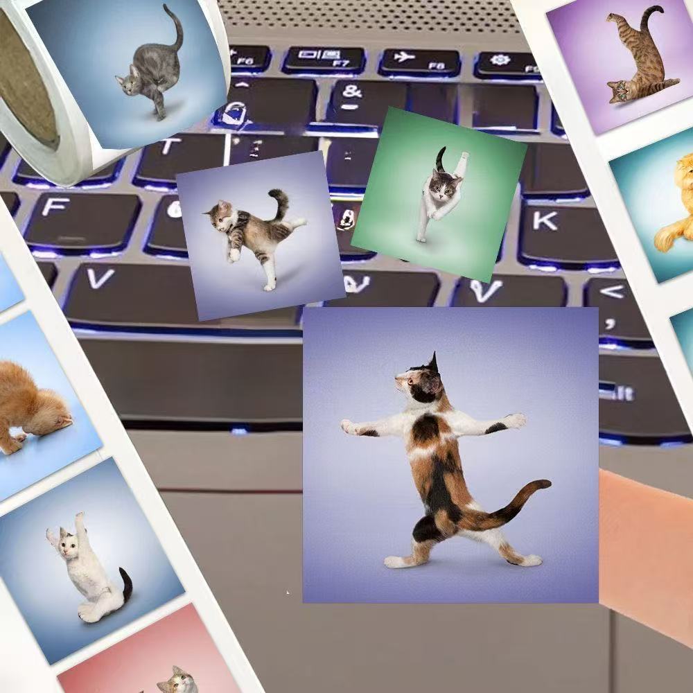 500 autocollants mignons de ch - Art Craft Journals avis et prix