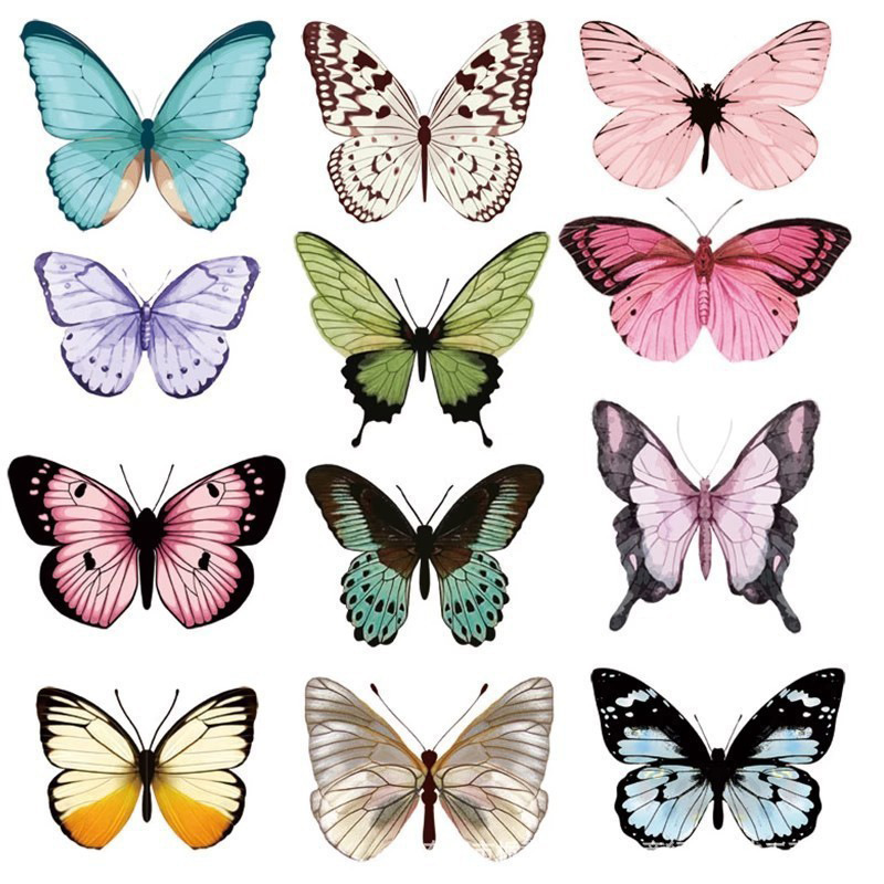 12 pièces 3D papillon Stickers - Art Craft Halloween avis et prix