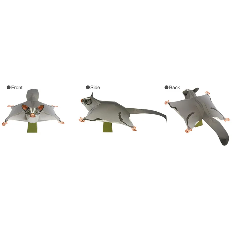 Sucre fœtal der souris volante - Art And Craft Nature avis et prix